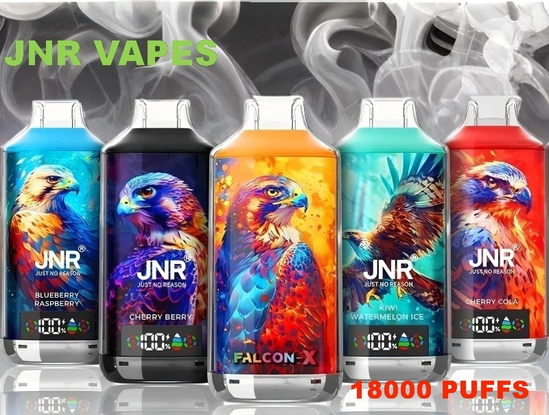 JNR disposable vape puffs 18k hot price