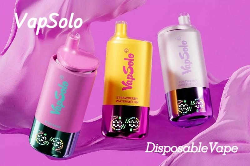 VapSolo DUAL FLAVORS VAPE 300000 Bulkverkoop