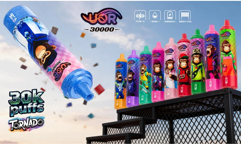 UOR Pen Vape 30000 puffs Cheap Disposable Vape