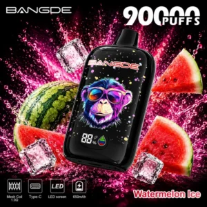 BANGDE Dobíjecí vaporizér 90000 Puffs