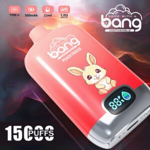 Bang digital vape 15000 PUFFS wholesale price