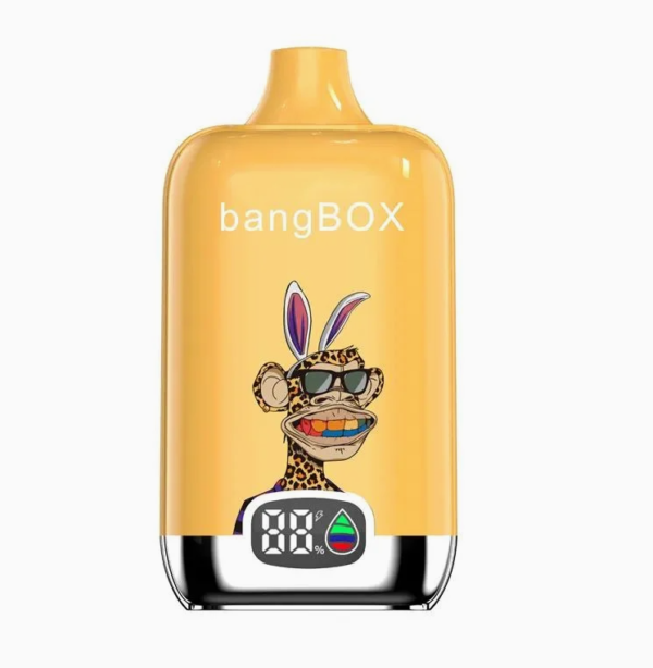 Bangbox digital vape 15000 puffs best sale price