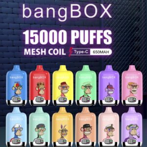 Bangbox digital vape 15k puffs bedste udsalgspris