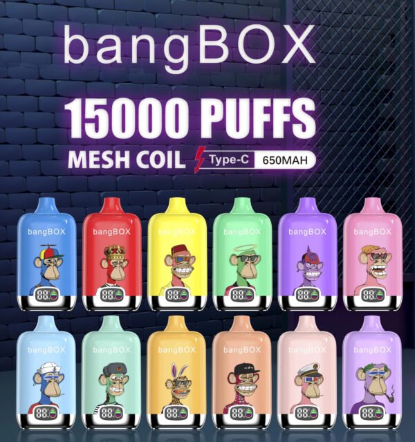 Bangbox digital vape 15k puffs best sale price