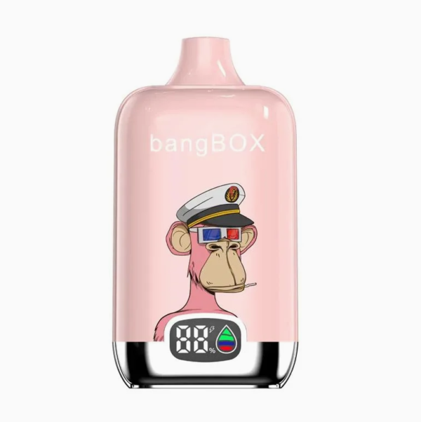 Bangbox digital vape 15k puffs hot sale price