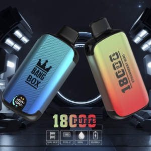 Bangbox vape 18000 puffs bulk price