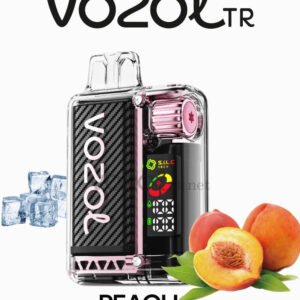 VOZOL VISTA VAPE 20000 PUFF BOA VENDA PREÇO BAIXO