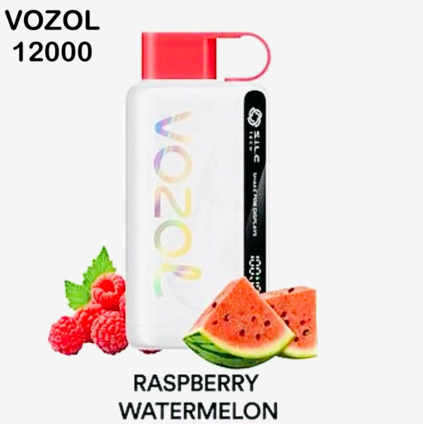 Vozol star vape 12k puffs bulk sale