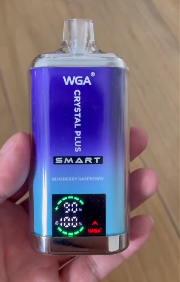 WGA vape 16000 puffs best price