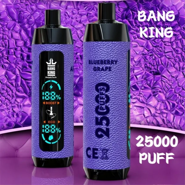 BANGKING RECHARGE VAPE PUFF 25K DISCOUNT PRICE