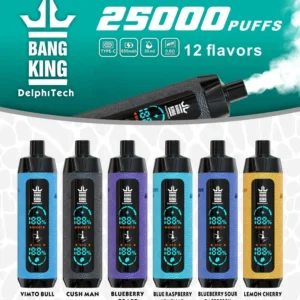 BANGKING RECHARGE VAPE PUFF 25K HOT SALE