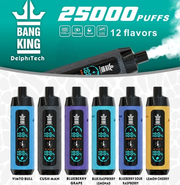 BANGKING RECHARGE VAPE PUFF 25K HOT SALE