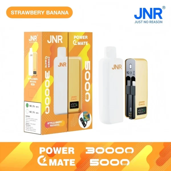 JNR Power Mate vape 30k puffs wholesale price