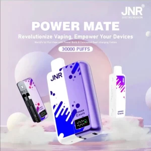 JNR Power Bank VAPE 30K Puffs Hot Sale