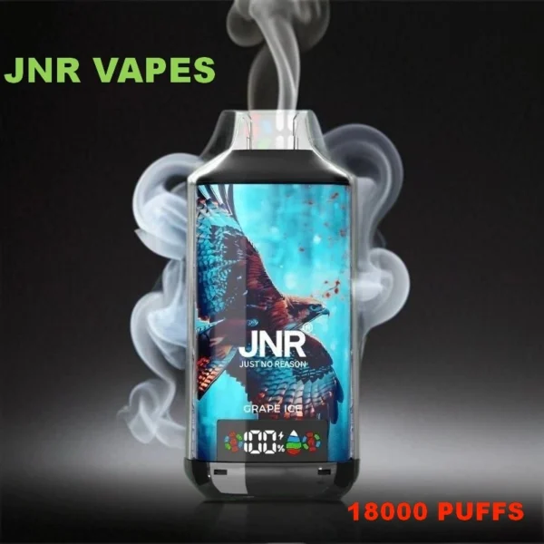 JNR disposable vape 18000 PUFFS hot price