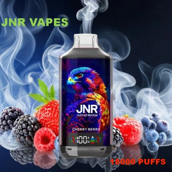 JNR disposable vape 18000 PUFFS top sale