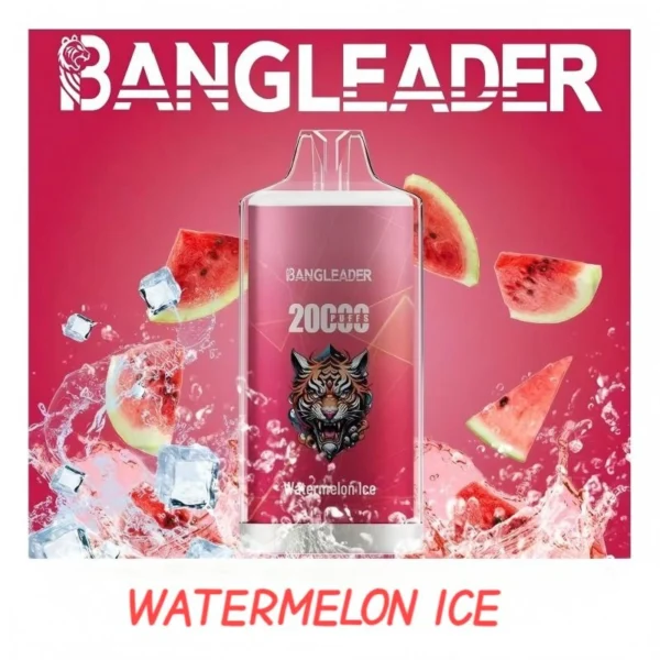 BANGLEADER DISPOSABLE VAPE 20000 PUFFS BULK PRICE