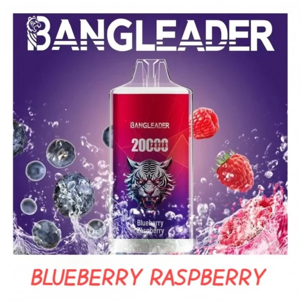 BANGLEADER DISPOSABLE VAPE PUFFS 20K BULK PRICE