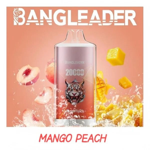 BANGLEADER DISPOSABLE VAPE PUFFS 20K CHEAPER SALE