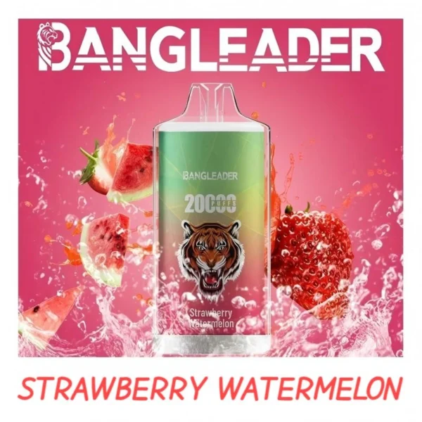 BANGLEADER VAPE 20000 PUFFS BULK PRICE