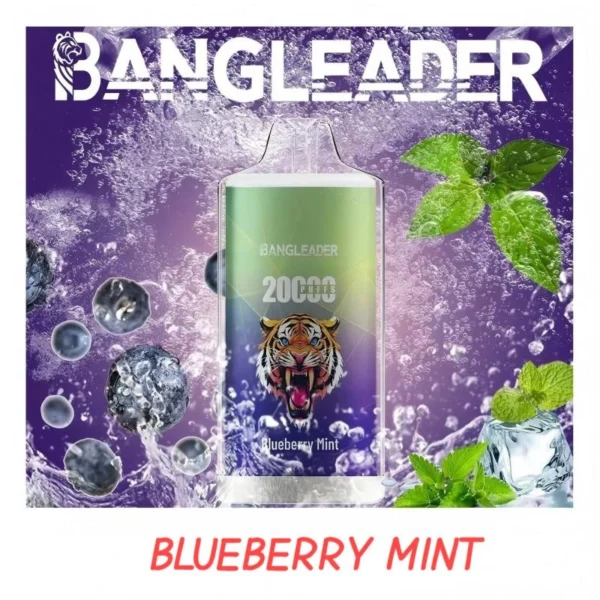 BANGLEADER VAPE 20000 PUFFS CHEAPER SALE