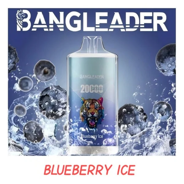 BANGLEADER VAPE PUFFS 20K BULK PRICE