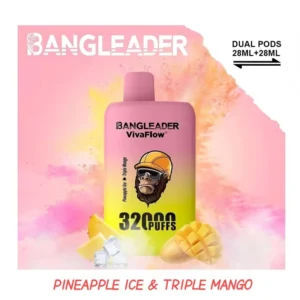 Bang Leader Vape 32000 Puffs bester Verkauf