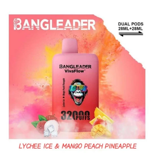 Bang leader vape 32k puffs Best sale