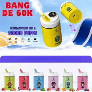 Bang DE TRIPLE VAPE PUFFS 60000 WHOLESALE PRICE