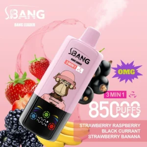 Good Sale 85k puffs BANG Leader Eu warehouse