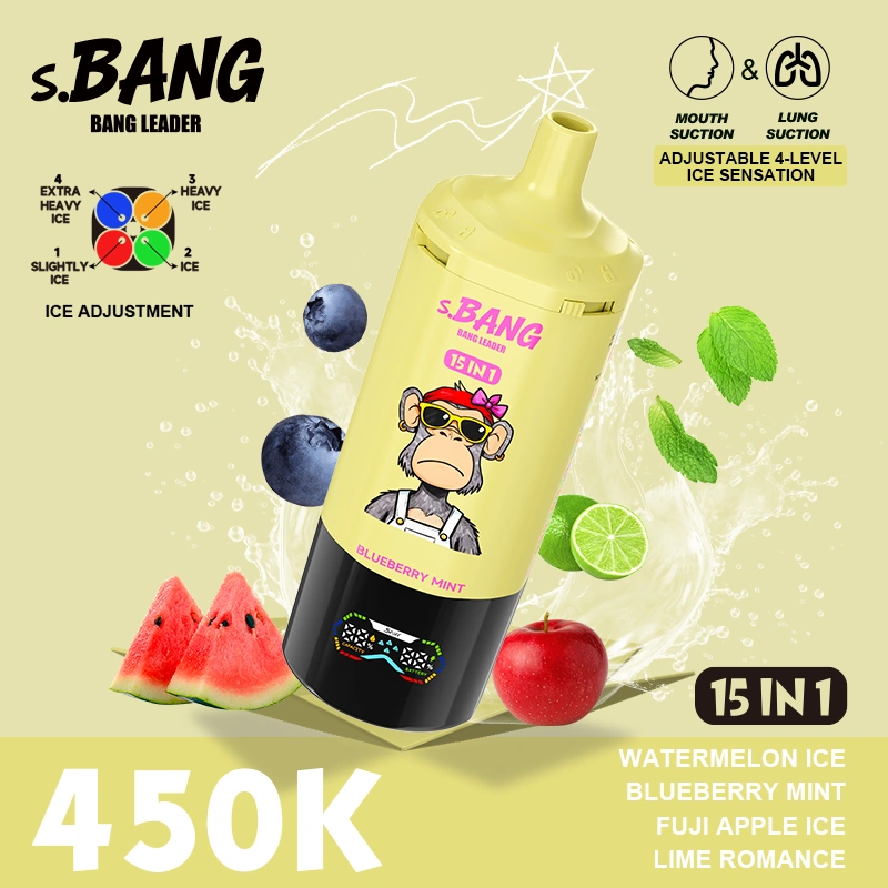 15 in 1 Vape Bangleader 450000 Puffs Lowest Price