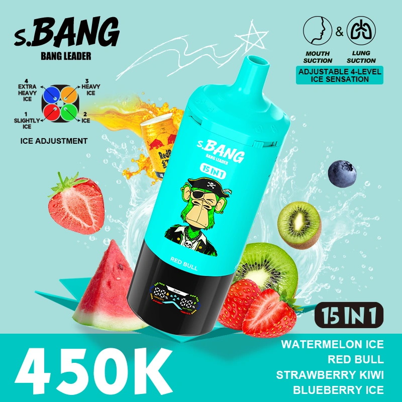 15 in 1 Vape Bangleader 450k Puffs Lowest Price