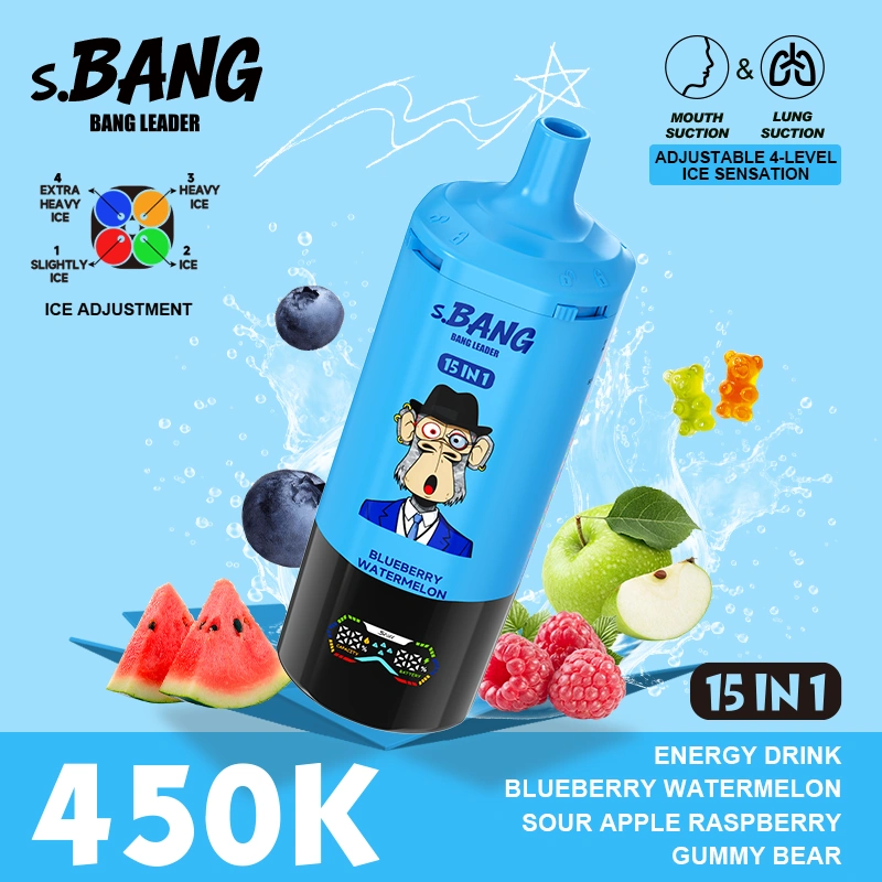 15 in 1 Vape Bangleader 450k Puffs Promotion Sale