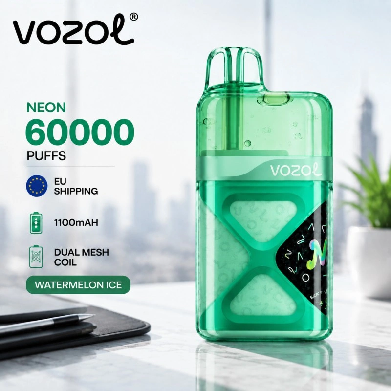 VOZOL NEON 60000 with Curved Display and Type-C Charging